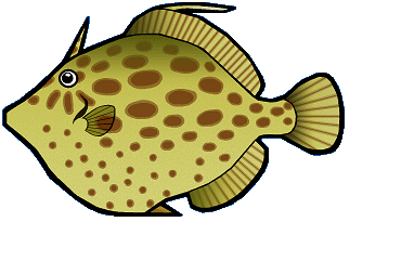 �g�J���n�M�h�̉摜�T���v��
