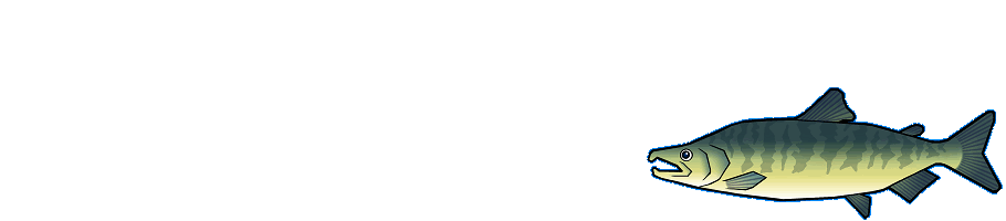 �g�T�P�h�̉摜�T���v��