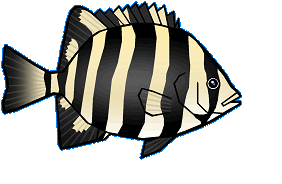 �g�C�V�_�C�h�̉摜�T���v��