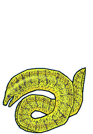 �g�E�c�{�h�̉摜�T���v��