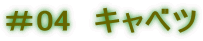 ＃04　キャベツ 