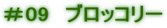 ＃09　ブロッコリー 