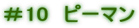 ＃10　ピーマン 