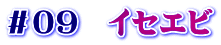 ＃０９　イセエビ