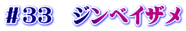 ＃３３　ジンベイザメ