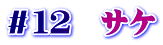 ＃１２　サケ